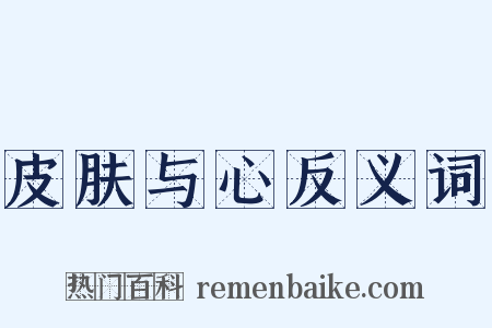 皮肤与心反义词是什么意思的图片